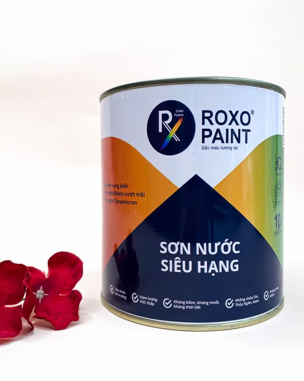 Roxo Color • Văn bản và hình ảnh